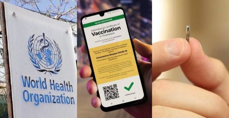 Nuevo Gobierno Mundial : OMS trabaja en un “pasaporte” de vacunación internacional